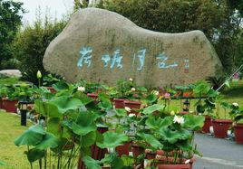 荷塘月色濕地公園 荷塘月色濕地公園