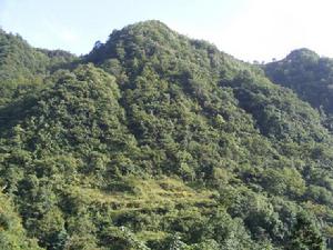 海子自然村[雲南省彝良縣洛旺鄉下轄村]