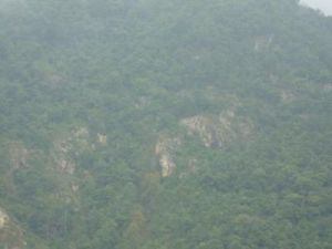 打羅自然村 打羅自然村