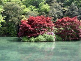 九溪煙樹 九溪煙樹