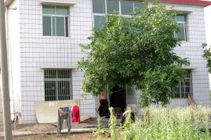 古桑洲社區 古桑洲社區