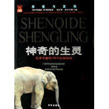 神奇的生靈 神奇的生靈