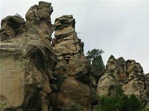 金鎖石林 金鎖石林