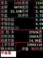 中盤股 中盤股