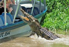 驚險瞬間全紀錄 驚險瞬間全紀錄