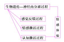 情緒激活和調節的多系統模型