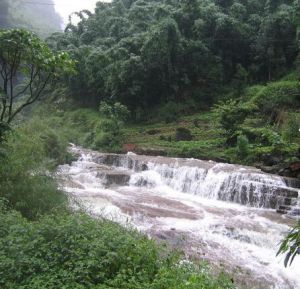 畫稿溪自然保護區