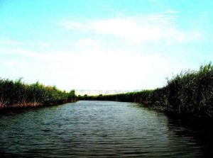 龍鳳山恆星遊樂園