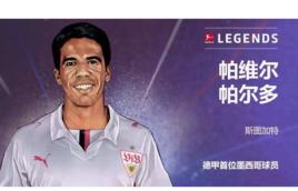 帕維爾·帕爾多 帕維爾·帕爾多