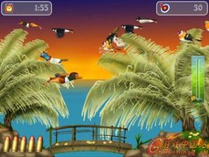 《飛鳥射擊2》 《飛鳥射擊2》