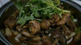 家常雞煲 家常雞煲