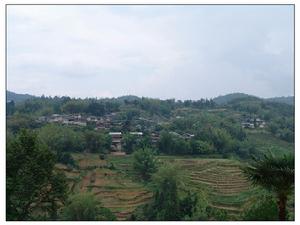 窩子自然村 窩子自然村