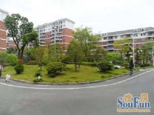 龍城天居園 龍城天居園