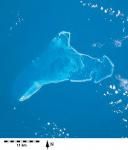 小塞拉納島 小塞拉納島