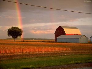 《上帝的村莊》 《上帝的村莊》