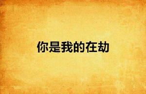 你是我的在劫 你是我的在劫