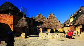 箐口村[雲南省紅河州元陽縣新街鎮箐口村]