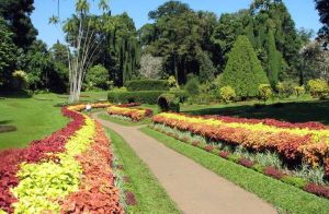 加拿大皇家植物園 加拿大皇家植物園