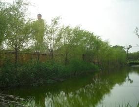 釋尼召沙漠人工湖