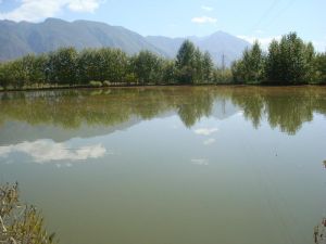 北馬自然村 北馬自然村