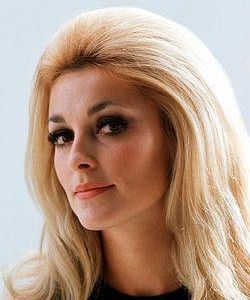 莎朗塔特 莎朗塔特