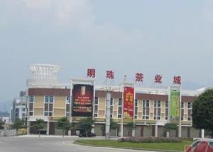安溪明珠茶葉城 安溪明珠茶葉城