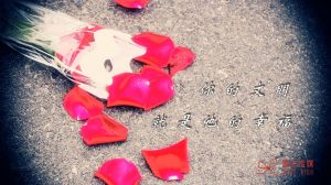 你的文明,就是他的幸福 你的文明,就是他的幸福