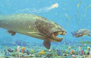 盾皮魚綱 盾皮魚綱