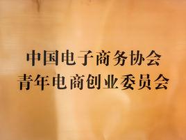 中國電子商務協會青年電商創業委員會 中國電子商務協會青年電商創業委員會