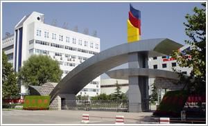 凌雲股份 凌雲股份