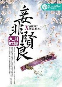 妾非賢良 妾非賢良