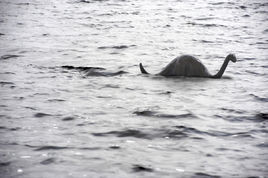 神秘事件 神秘事件