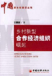 鄉村新型合作經濟組織崛起 鄉村新型合作經濟組織崛起