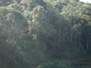 蚌北拉村 蚌北拉村