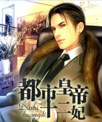 都市皇帝十二妃 都市皇帝十二妃