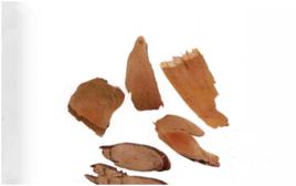 五指毛桃[中藥]