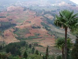 娘普村[雲南省紅河州紅河縣浪堤鄉娘普村]