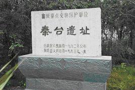 秦台遺址 秦台遺址