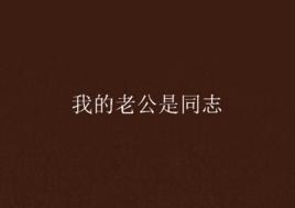 我的老公是同志