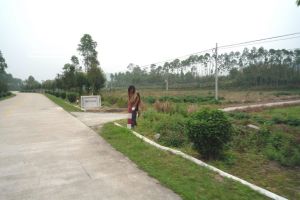 雞咀一自然村 雞咀一自然村