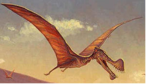 《翼手龍》 《翼手龍》