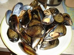 酒烹青口 酒烹青口