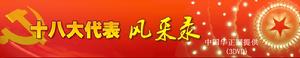 十八大代表風采錄