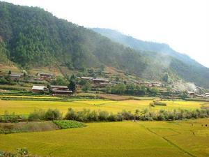 李傢伙房自然村 李傢伙房自然村