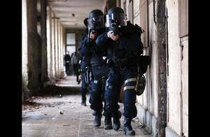 法國國家憲兵特勤隊 法國國家憲兵特勤隊