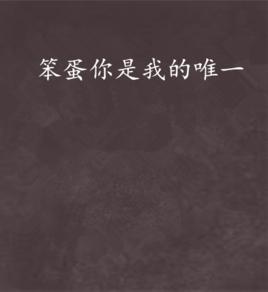 笨蛋你是我的唯一 笨蛋你是我的唯一