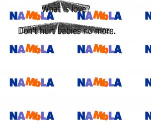 北美少年愛好協會