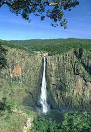 東海岸溫帶和亞熱帶森林區 東海岸溫帶和亞熱帶森林區