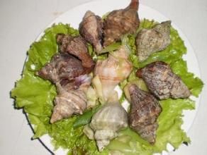 生燒大海螺 生燒大海螺