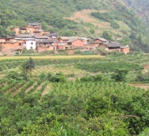 小塔沖村 小塔沖村